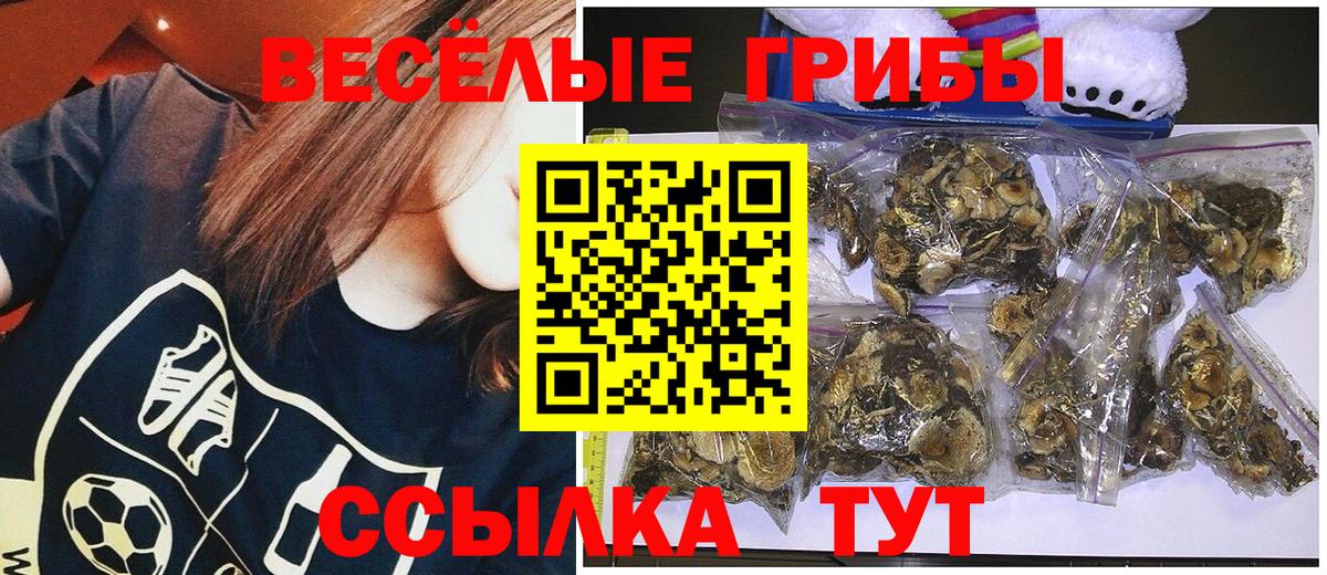 Сатка  Псилоцибиновые грибы мицелий  Псилоцибиновые грибы ЛСД  Вход с VPN 
