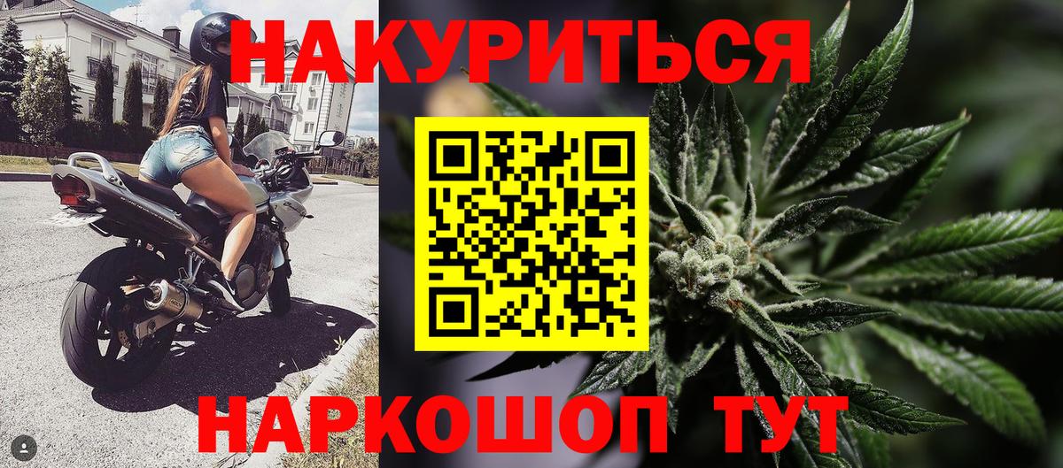 Марихуана гибрид Сатка